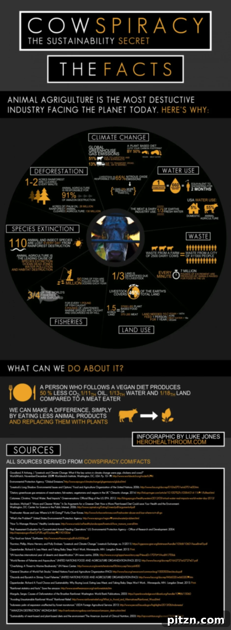 cowspiracy-infographic-why-animal-agriculture-is-the-most-destructive-industry