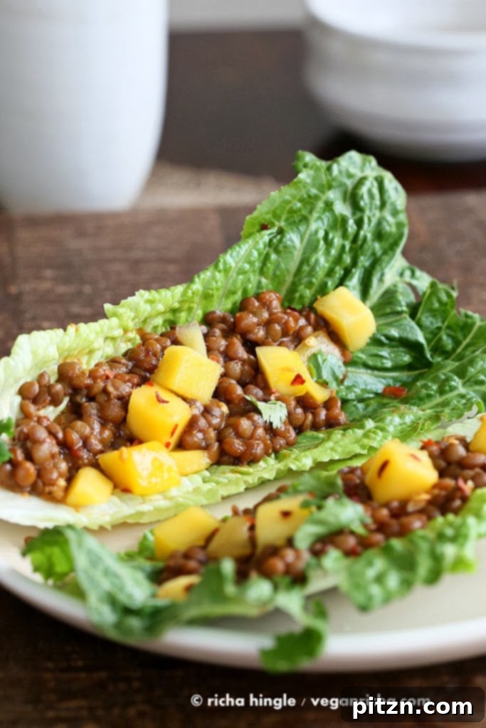 A beautifully plated Sweet and Sour Lentils and Mango Lettuce Wrap, garnished with fresh mango, cilantro, and peanuts, ready to be enjoyed.