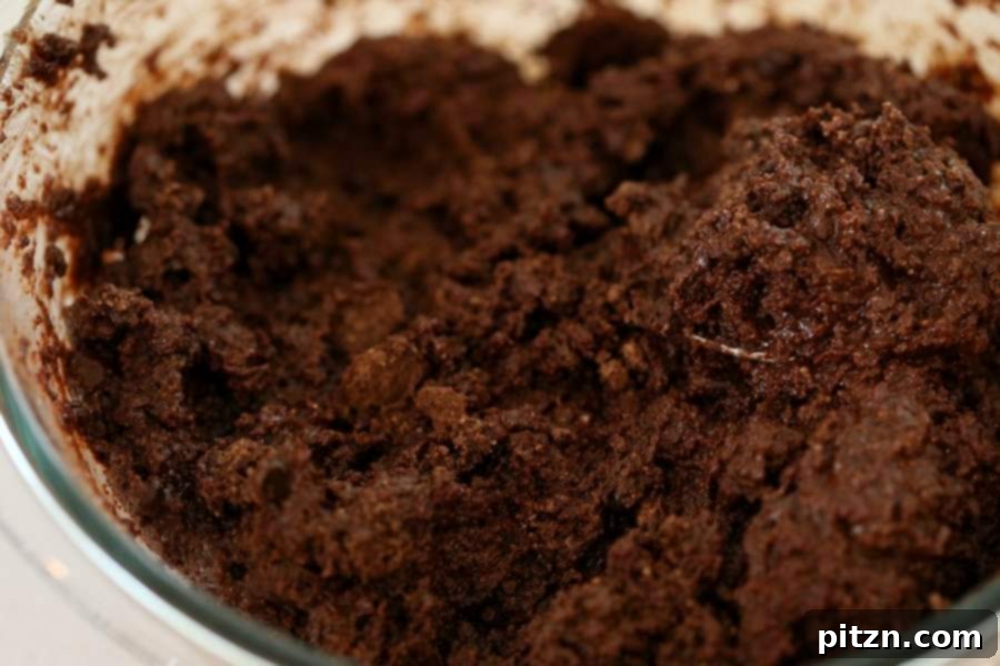 Decadent Vegan Gluten Free Brownies Made Easy 7 Mixing the brownie batter in a bowl until smooth and combined.