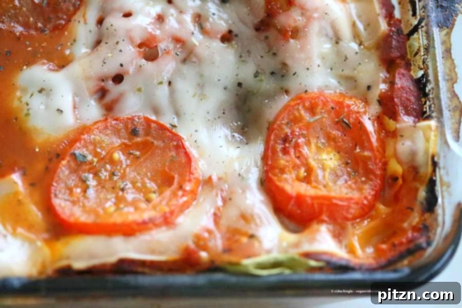 Cozy Vegan Veggie Lasagna for Two 3 A perfectly baked, golden-brown Vegan Veggie Lasagna, highlighting layers of pasta, sauce, vegetables, and vegan cheese.