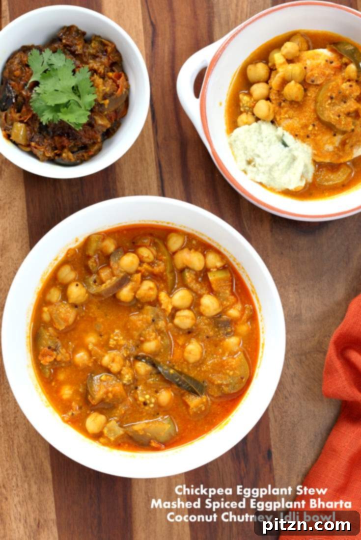 Your Guide to Indian Cooking Updates and Errata 7 Chickpea Eggplant Stew from Vegan Richas Indian Kitchen
