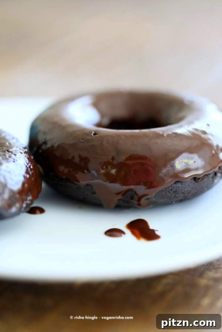 The Homemade Vegan Pantry's Vegan Chocolate Cake Mix Review and Sweet Giveaway 2 Vegan Chocolate Cake Mix Doughnuts