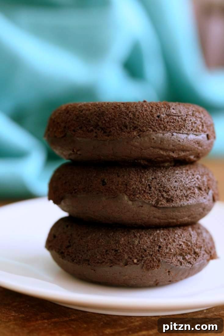 The Homemade Vegan Pantry's Vegan Chocolate Cake Mix Review and Sweet Giveaway 5 Vegan Chocolate Cake Mix Doughnuts