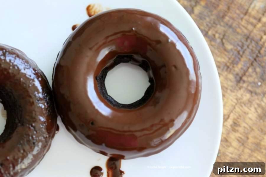 The Homemade Vegan Pantry's Vegan Chocolate Cake Mix Review and Sweet Giveaway 6 Vegan Chocolate Cake Mix Doughnuts