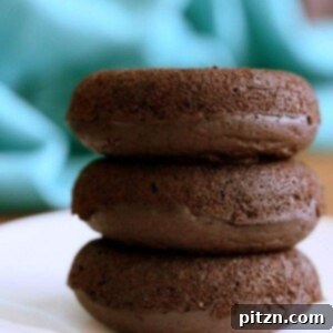 The Homemade Vegan Pantry's Vegan Chocolate Cake Mix Review and Sweet Giveaway 7 Vegan Chocolate Cake Mix Doughnuts