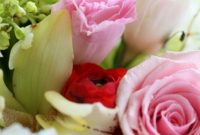 Plant-Based Romance: Valentine’s Recipes and Gifts