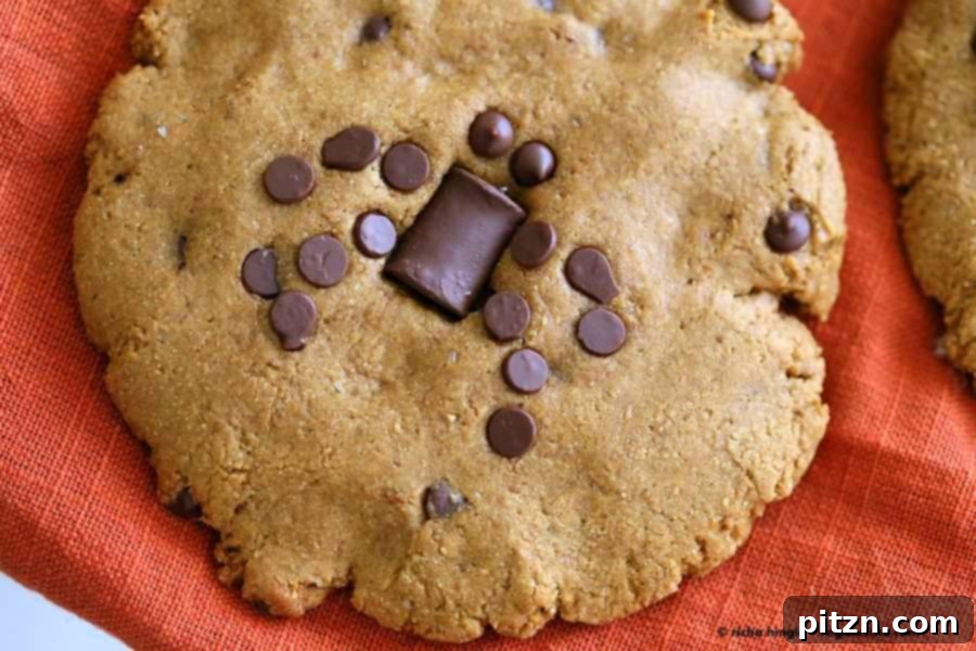 Two hands holding a freshly baked vegan pumpkin chocolate chip cookie, showcasing its soft and chewy texture.