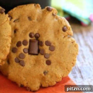 Close-up of a vegan pumpkin chocolate chip cookie with a chewy texture.