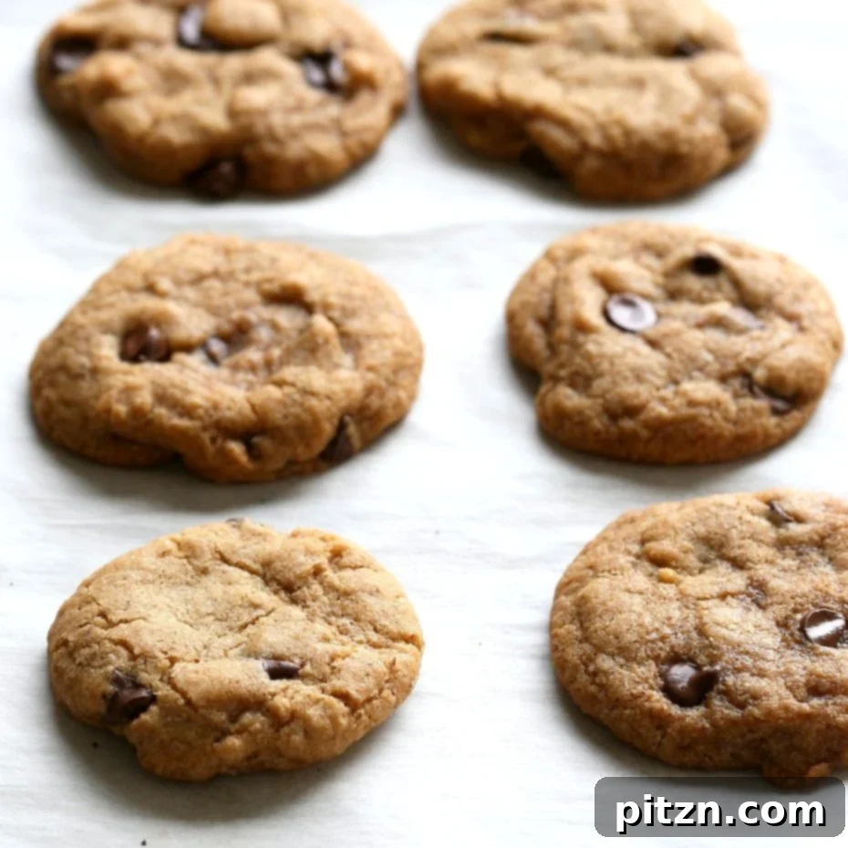 Vegan Coconut Oil Chocolate Chip Cookies 6 The Best Vegan Gluten-free Chocolate Chip Cookies. Palm oil-free! Gluten-free option. Somer's Easy Classic Chocolate Chip Cookies that are perfect for the holidays, bake sales and gifting. Vegan Nut-free Soy-free Palm oil-free Recipe. | VeganRicha.com