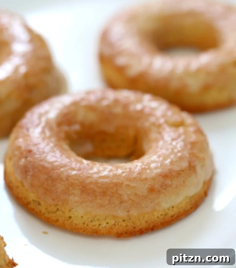 One-Bowl Baked Vegan Lemon Doughnuts Gluten and Grain Free 3 Vegan Gluten-free Lemon Donuts. These baked gluten free doughnuts are amazingly soft. They are grain-free, Easy, Zesty. Use lemon or lime. Baked Gluten-free Doughnuts. Vegan Glutenfree Grainfree Soyfree Recipe. Can be nutfree. VeganRicha.com