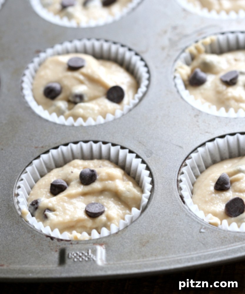 A selection of delicious vegan chocolate chip coconut muffins, perfect for a healthy and satisfying treat.