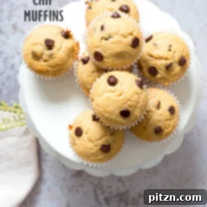Delicious vegan chocolate chip coconut muffins, perfect for breakfast or a sweet treat.