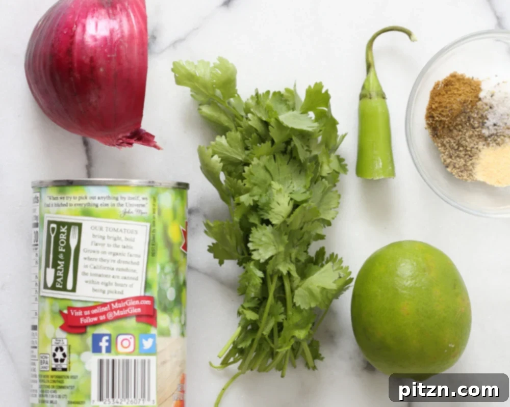 Versatile Vegan Blender Salsa Recipe - Quick and Healthy Appetizer