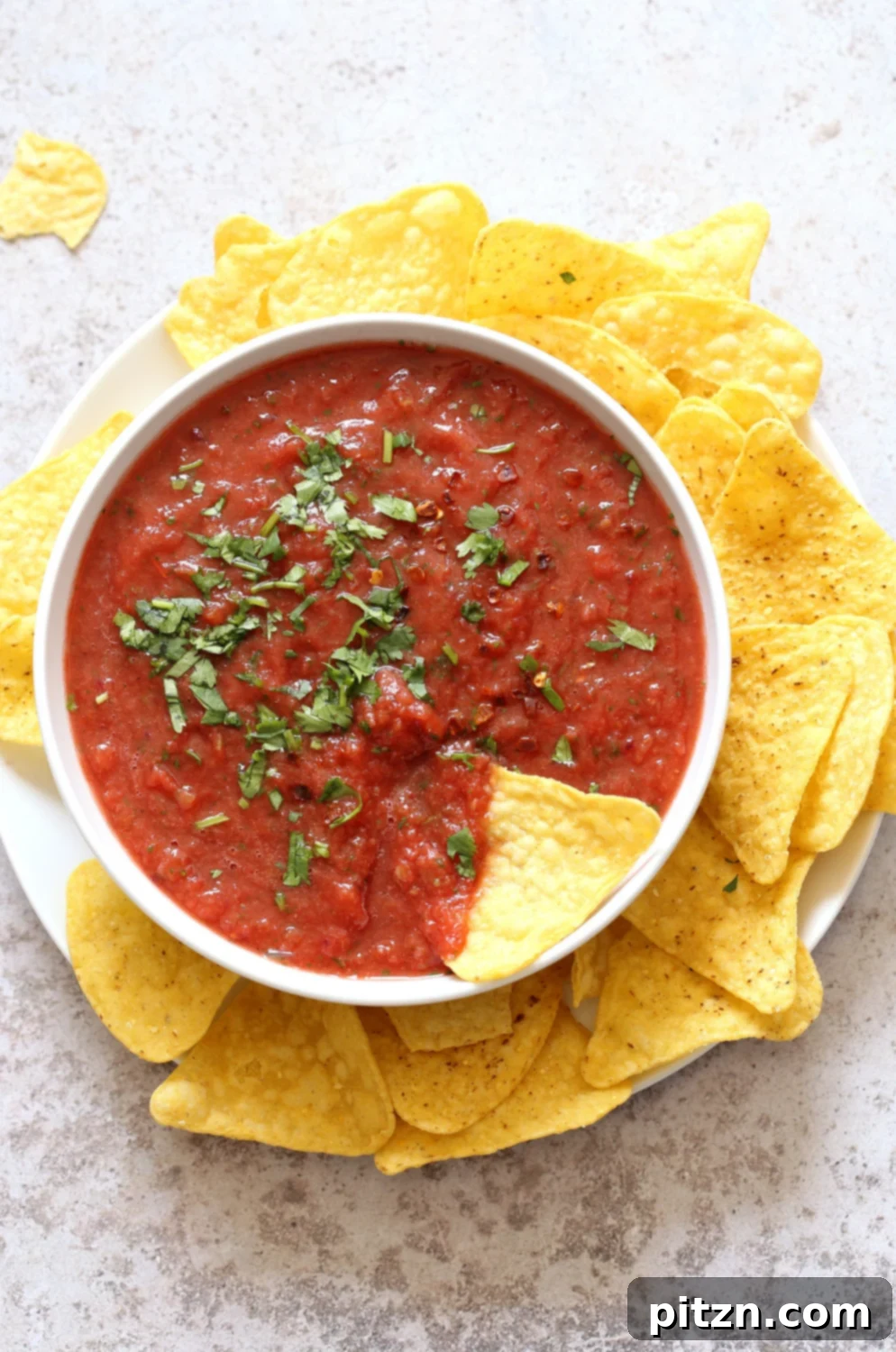 Best Homemade Fresh Tomato Salsa - Easy, 5-Minute Recipe