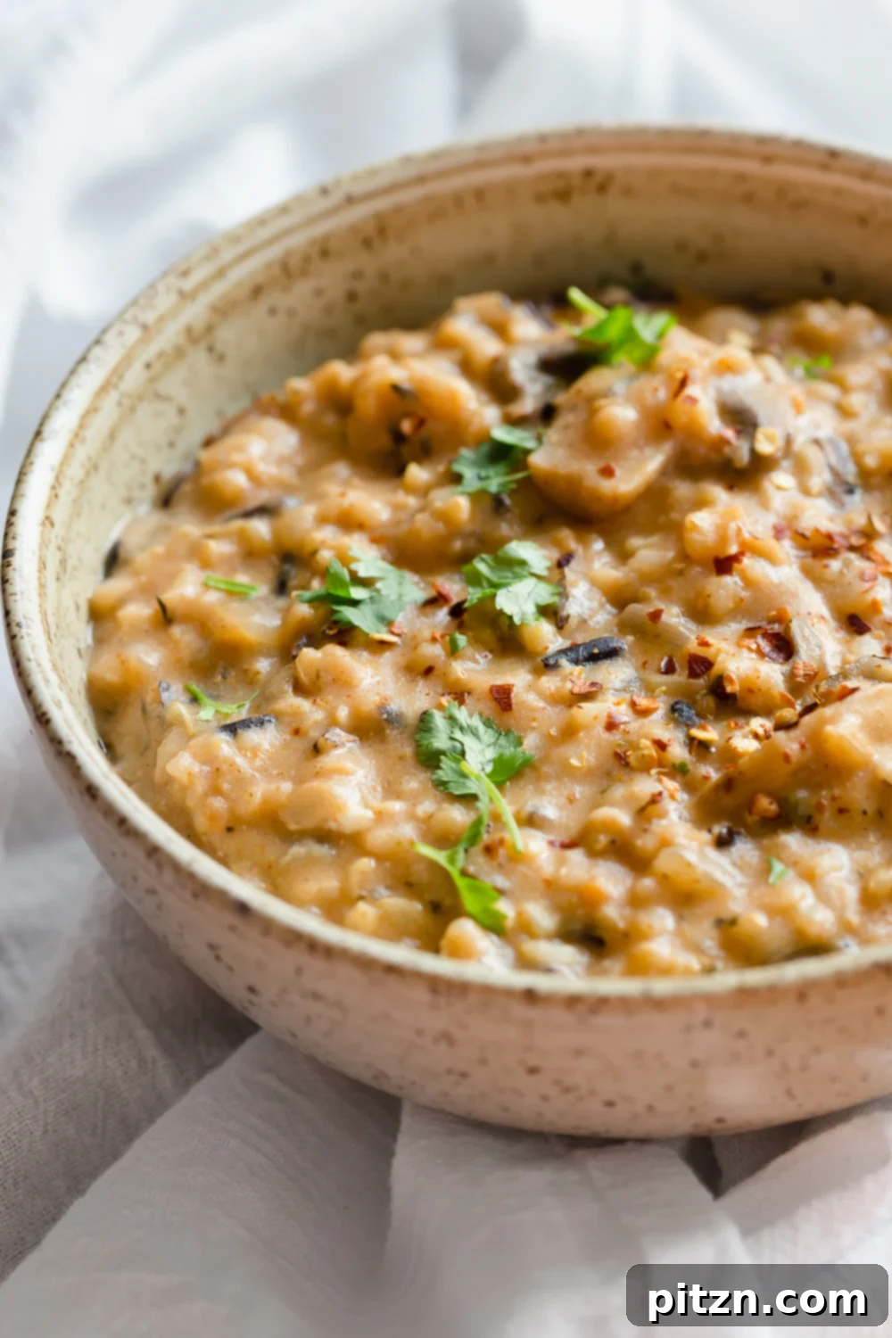 Vegan Wild Rice Mushroom Soup made in a Pressure Cooker. Instant Pot Mushroom soup. Creamy 1 Pot Winter meal. #VeganRicha #Vegan #Glutenfree #Soyfree #Recipe