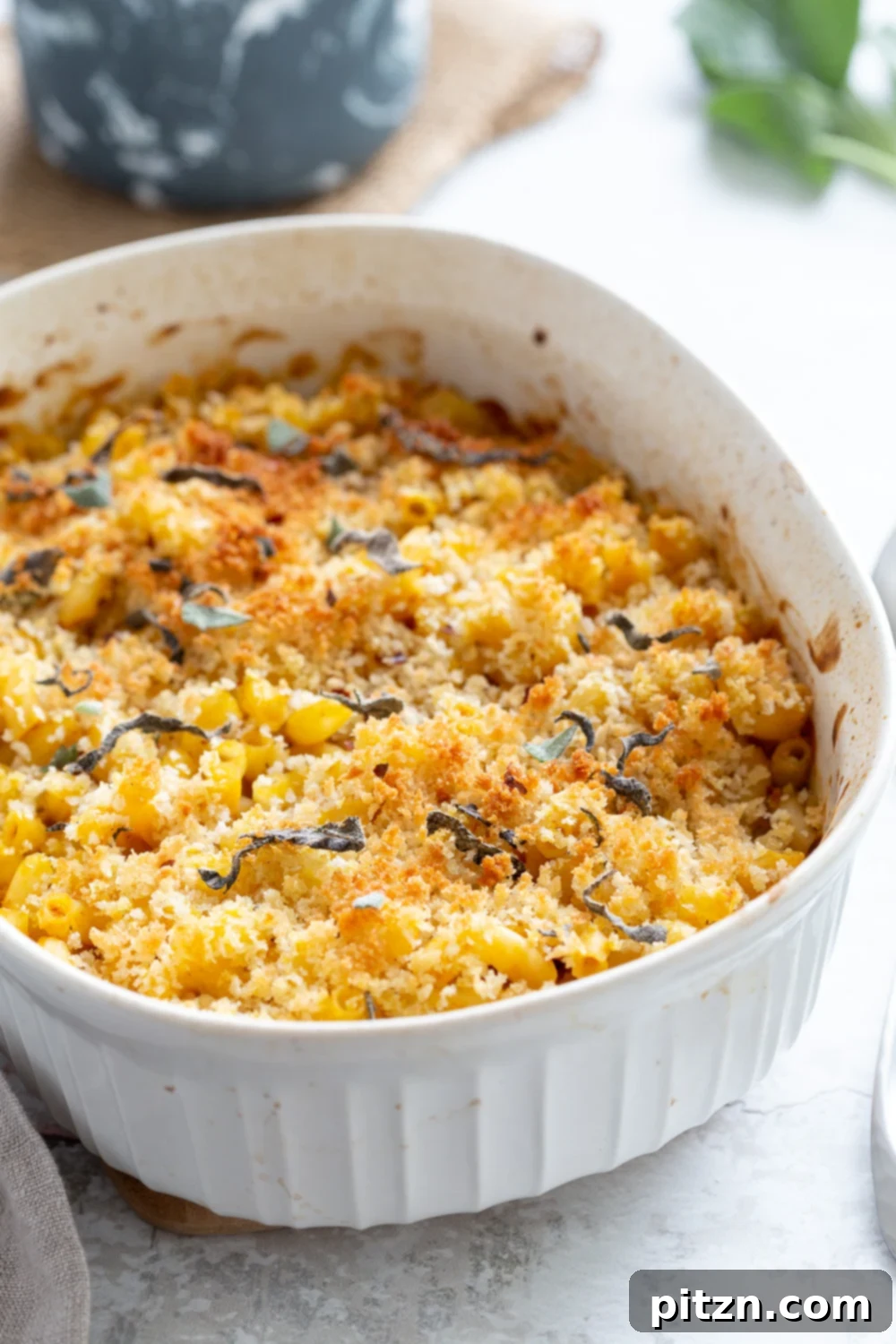 Golden Harvest Vegan Mac and Cheese Bake 4 Scoop of homemade Vegan Pumpkin Mac and Cheese Bake on a plate, showing the creamy texture and crispy topping.