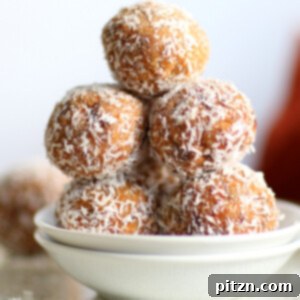 Easy Vegan Carrot Cake Bites: Spiced, nutty balls made with carrots, walnuts, dates, and spices. Perfect healthy, gluten-free, and vegan snack.