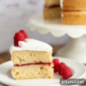 Side view of a slice of vegan white cake filled with vibrant raspberry jam, showcasing its perfect layers.