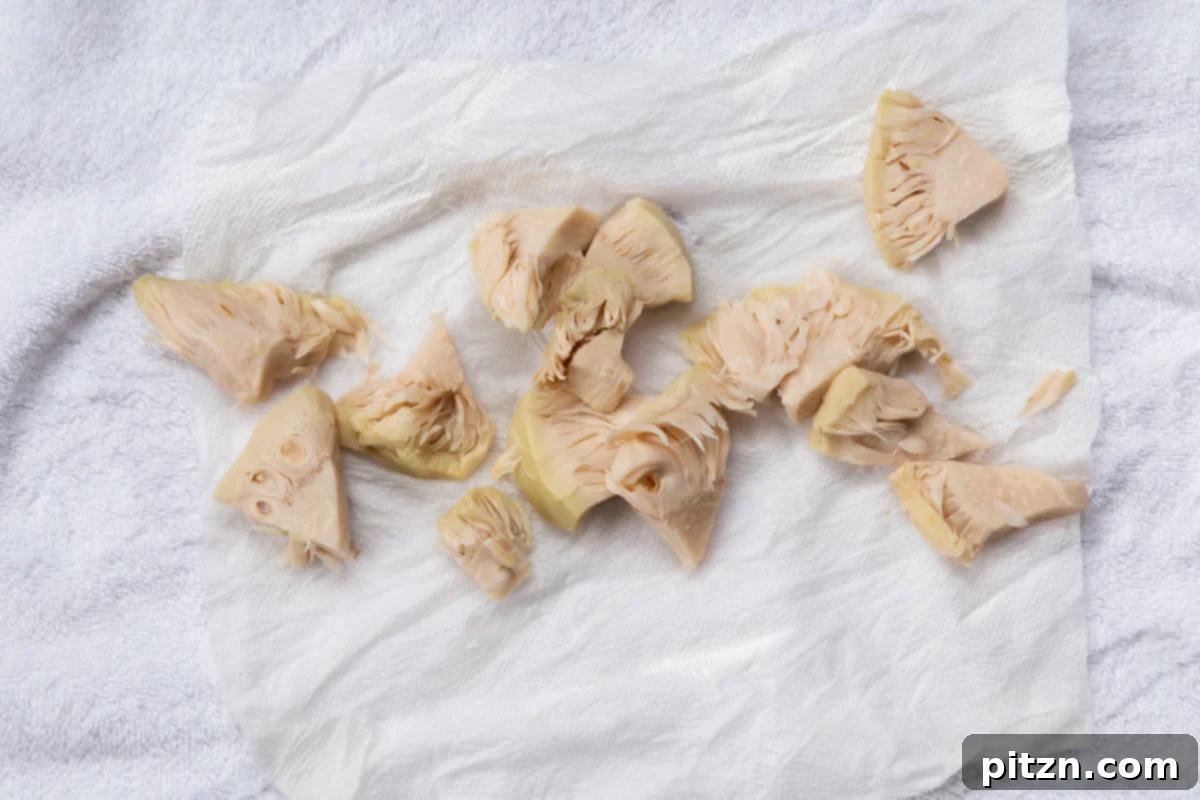 Quick & Easy Vegan Jackfruit Tacos 8 jackfruit on a sheet of paper towels