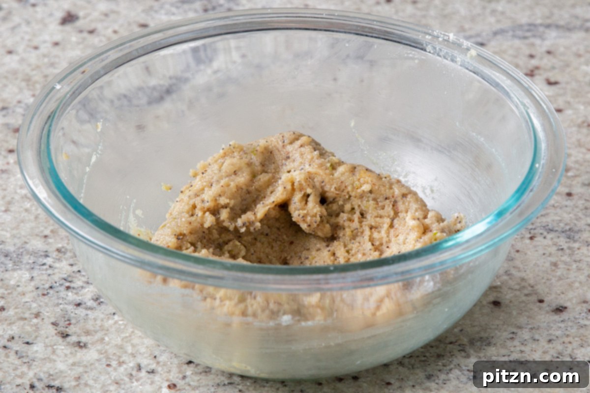 The perfectly mixed vegan lemon poppyseed cookie dough, showcasing a soft, pliable texture and ready to be chilled before baking.