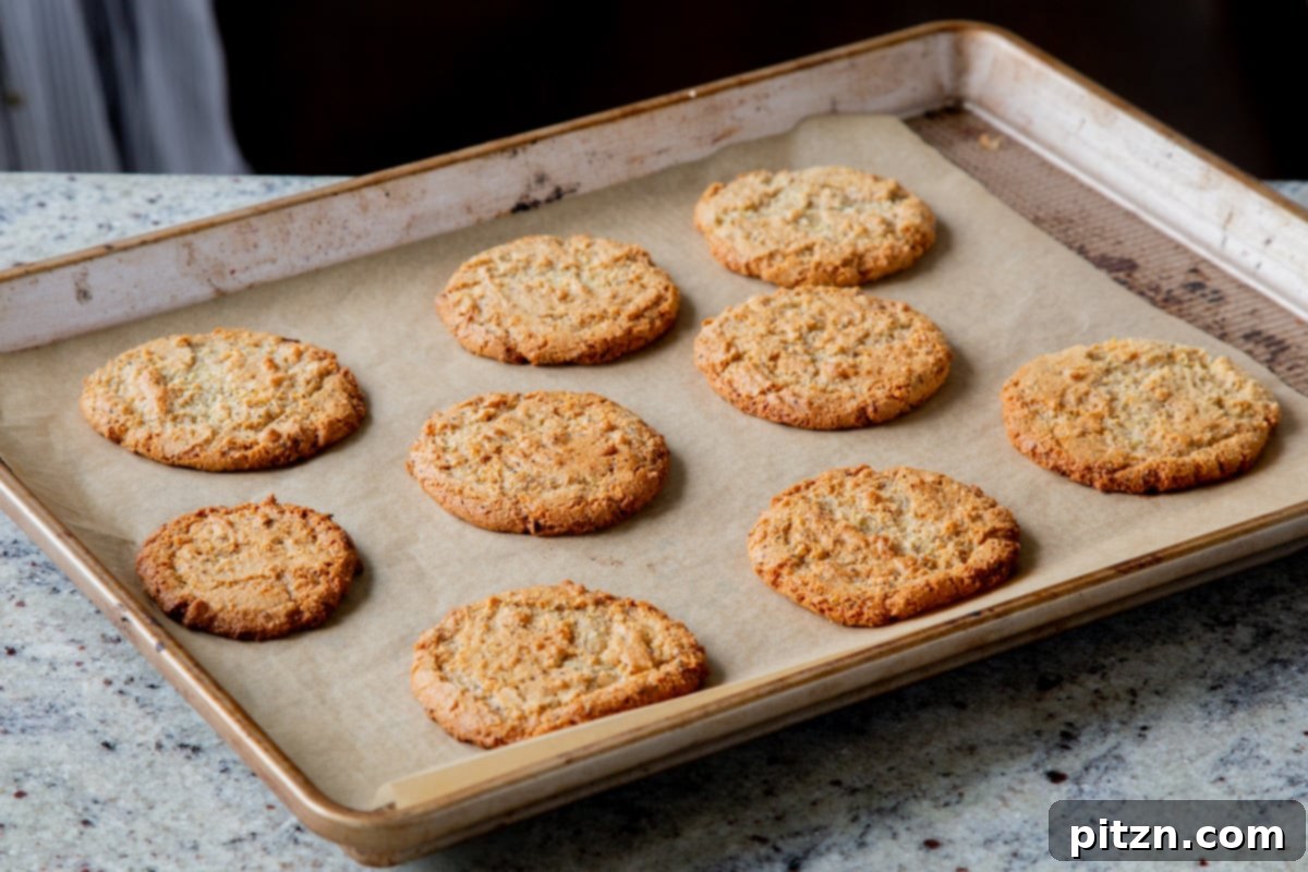 Freshly baked vegan lemon poppyseed cookies resting on the baking sheet, golden and perfectly spread, having just come out of the oven and beginning to cool.