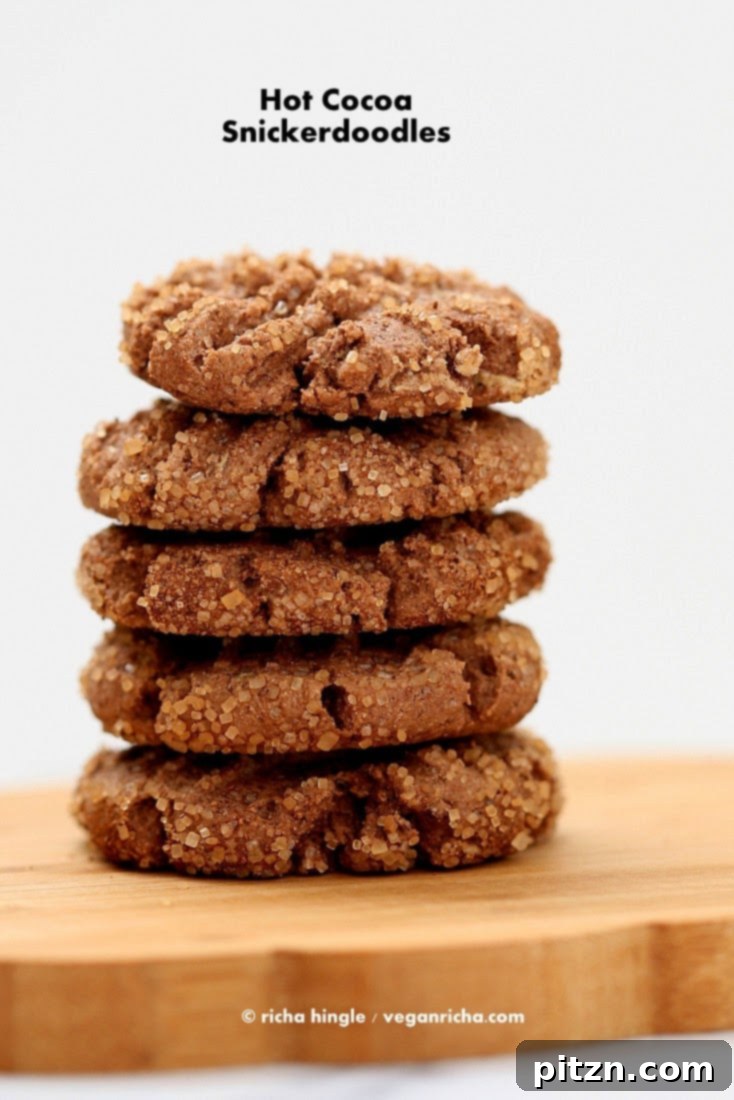 Hot Cocoa Snickerdoodles The Decadent Gluten-Free Vegan Verdict 2 Hot Cocoa Snickerdoodles - A delightful gluten-free, vegan treat from Cara Reed's cookbook