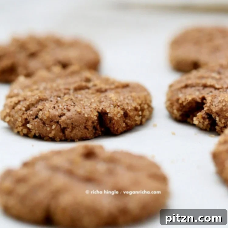 Hot Cocoa Snickerdoodles The Decadent Gluten-Free Vegan Verdict 6 Hot Cocoa Snickerdoodles - A close-up of this delicious vegan, gluten-free cookie