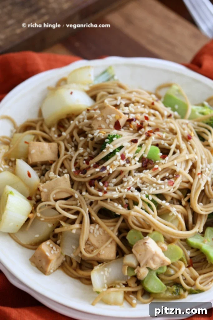 Tofu Broccoli Soba Stir fry | Flavorful Vegan Dish