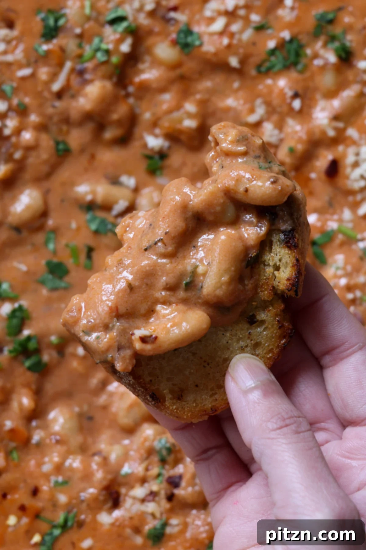 Effortless Rosé Beans for All 4 A serving of creamy rosé sauce white beans resting on a slice of toasted sourdough bread, garnished with fresh basil.