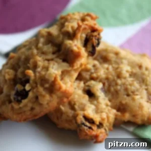 Two oatmeal raisin cookies on a purple and green background