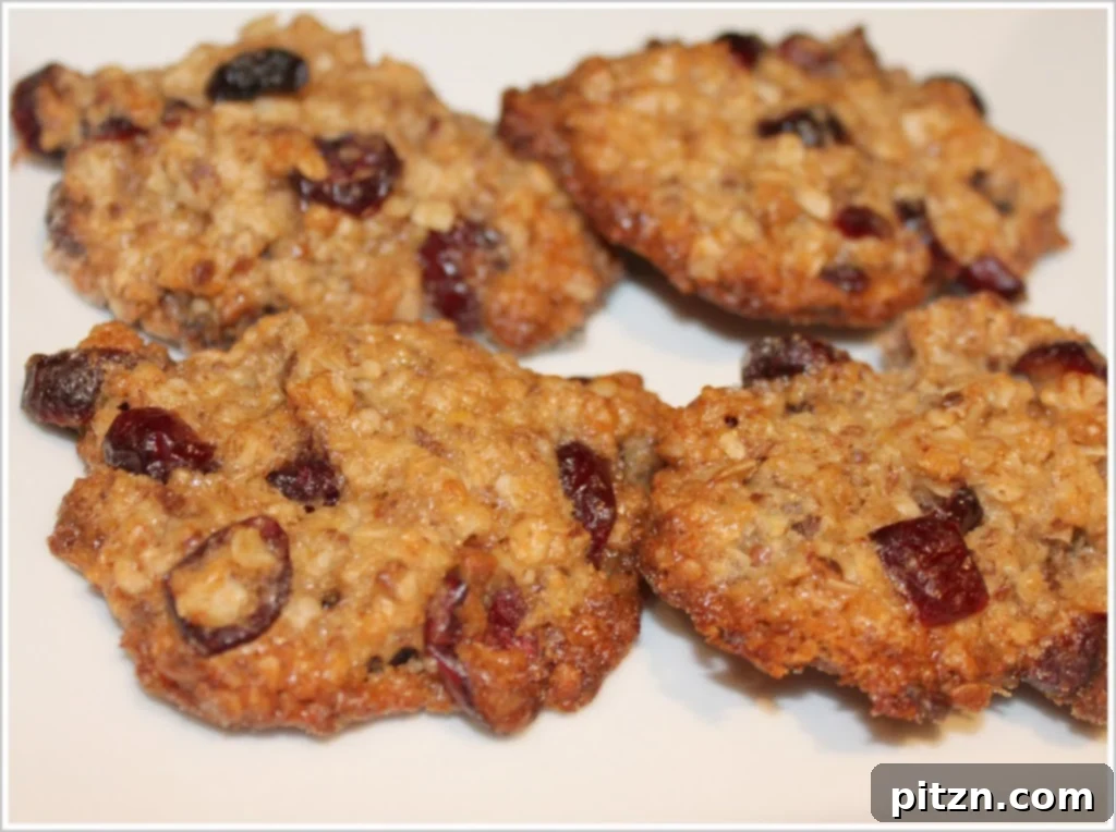 Plant-Based Cranberry Oat Delights 2 Freshly baked vegan oatmeal cranberry cookies on a rustic background