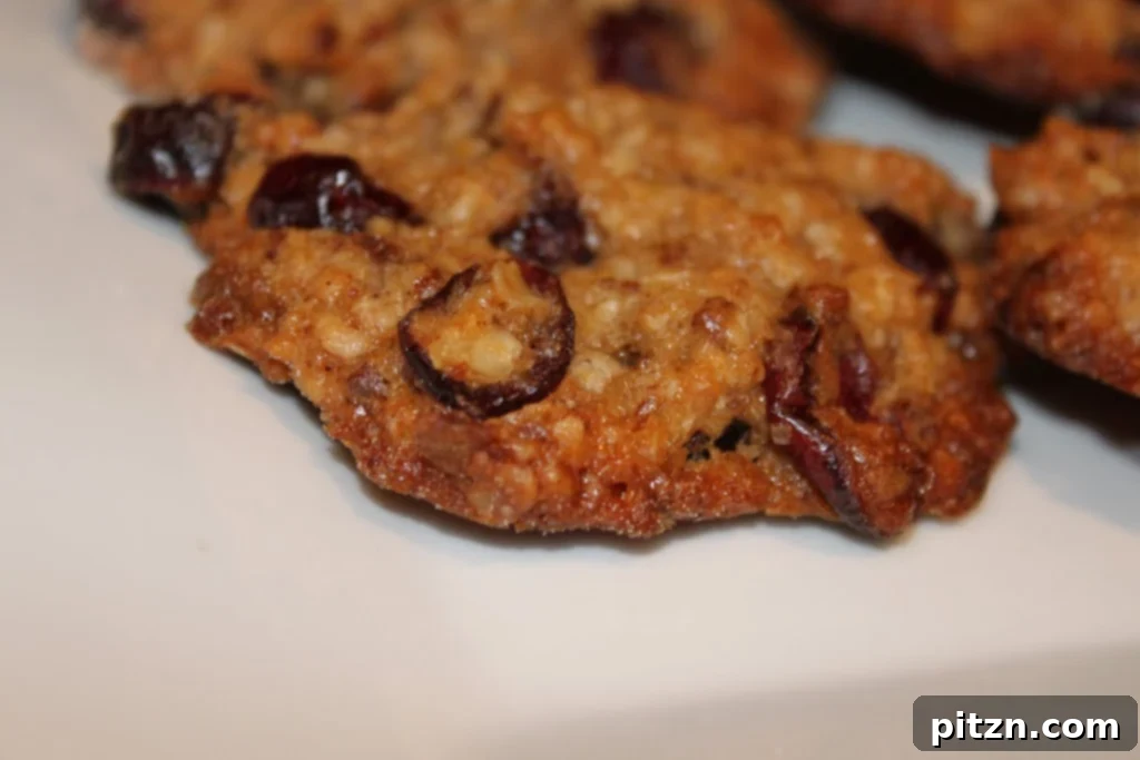Plant-Based Cranberry Oat Delights 3 Warm vegan oatmeal cranberry cookies cooling on a wire rack