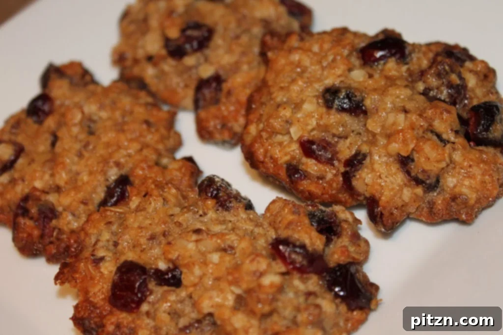 Plant-Based Cranberry Oat Delights 4 Close-up of a broken vegan oatmeal cranberry cookie revealing its moist interior