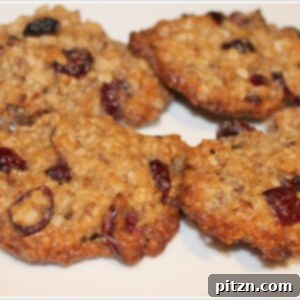 Plant-Based Cranberry Oat Delights 5 Oatmeal cranberry cookies arranged neatly on a white plate