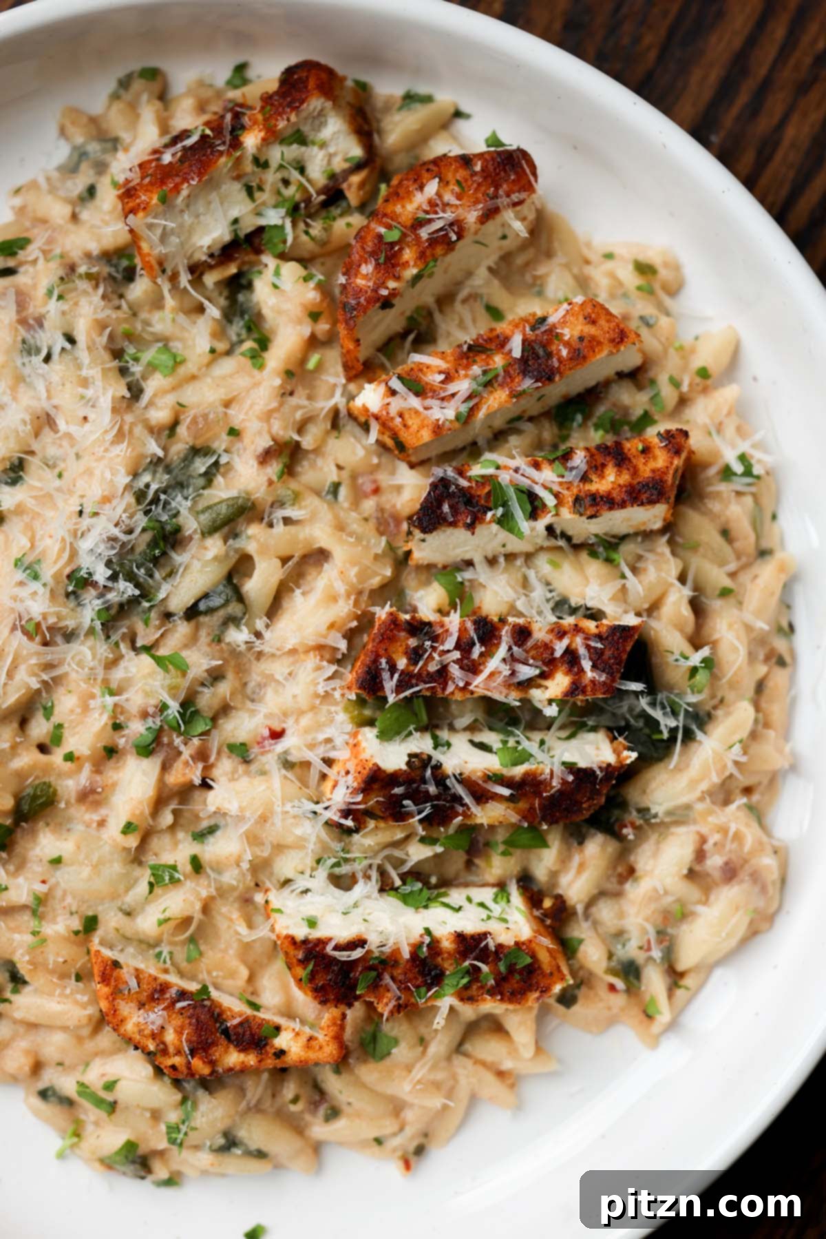 Golden Paprika Tofu with Creamy Garlic Parmesan Orzo 29 Garlic parmesan orzo on a plate with crispy paprika tofu, garnished with fresh herbs.