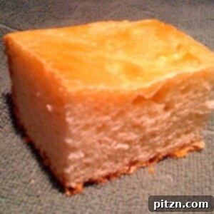 A square of ciabatta bread on a dark background, showcasing its golden crust.