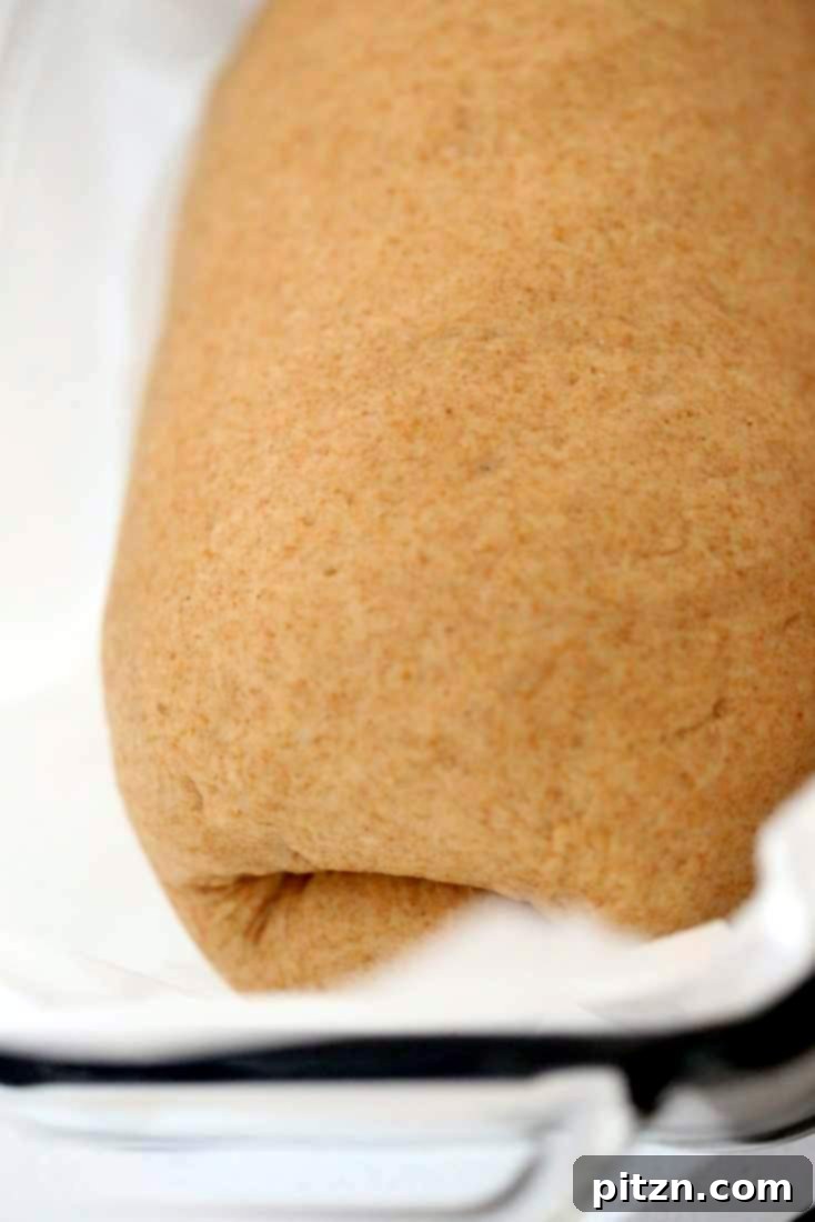 Homemade 100% Whole Wheat Bread 5 The 100% Whole Wheat Bread dough shaped and placed in a loaf pan, ready for its final rise