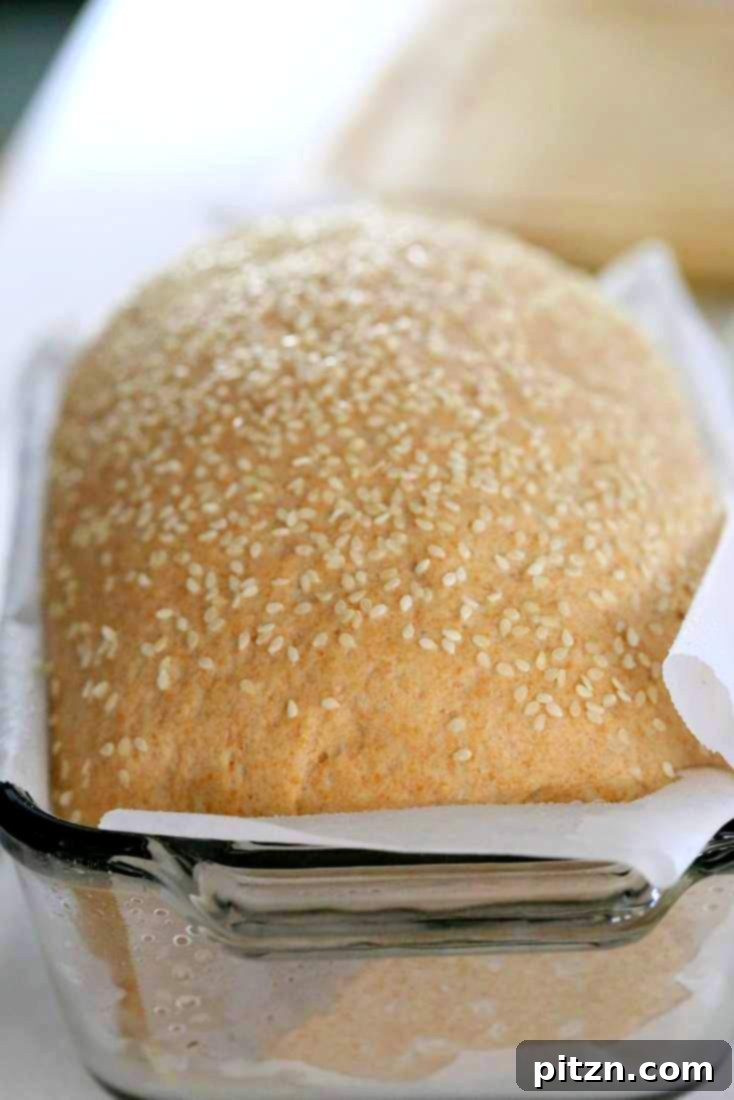 Homemade 100% Whole Wheat Bread 6 Homemade Whole Wheat Bread dough rising beautifully in a loaf pan, covered with a towel