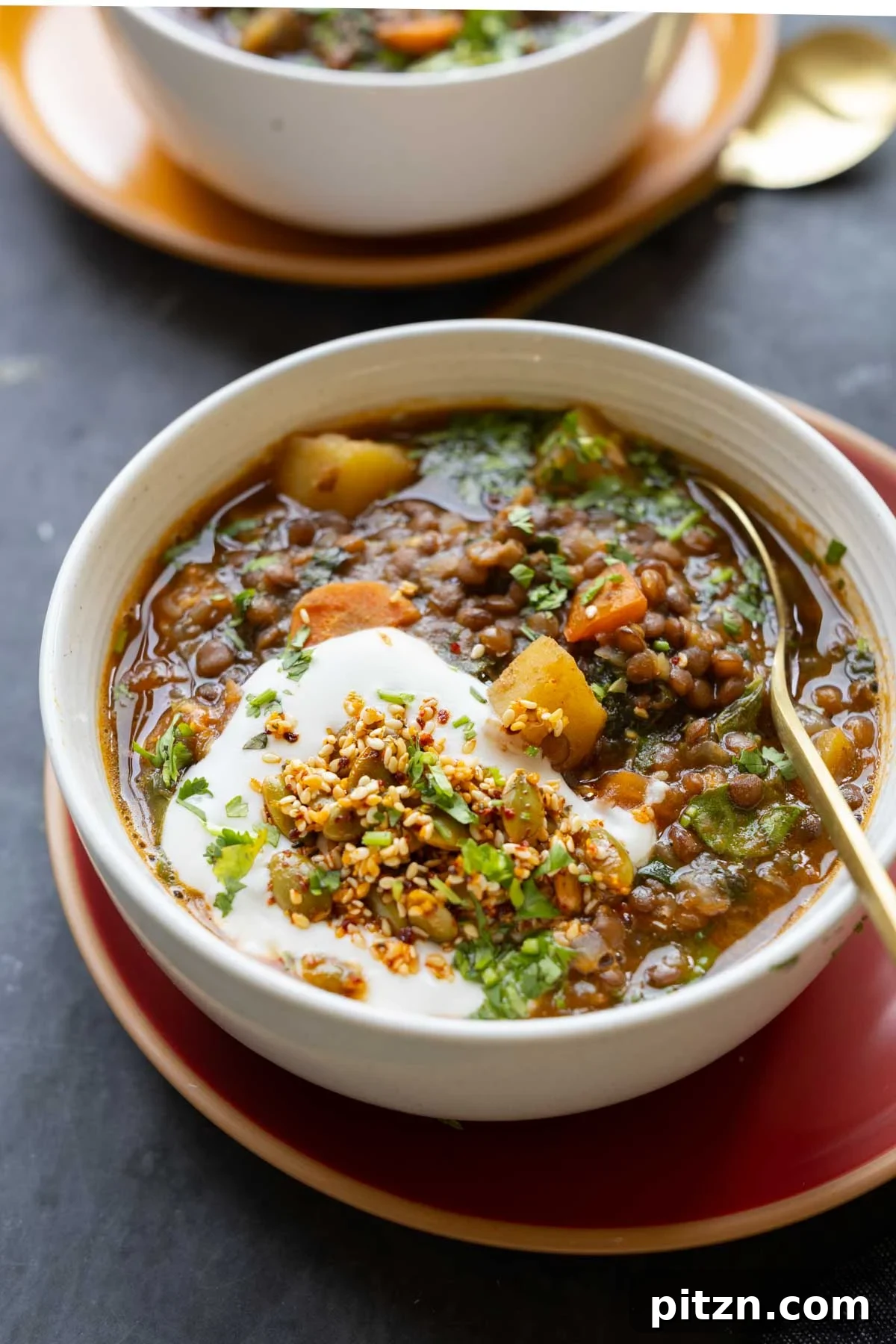 Creamy Lentil and Potato Soup with Crunchy Seed Topping 2 lentil potato soup in the bowl with toppings